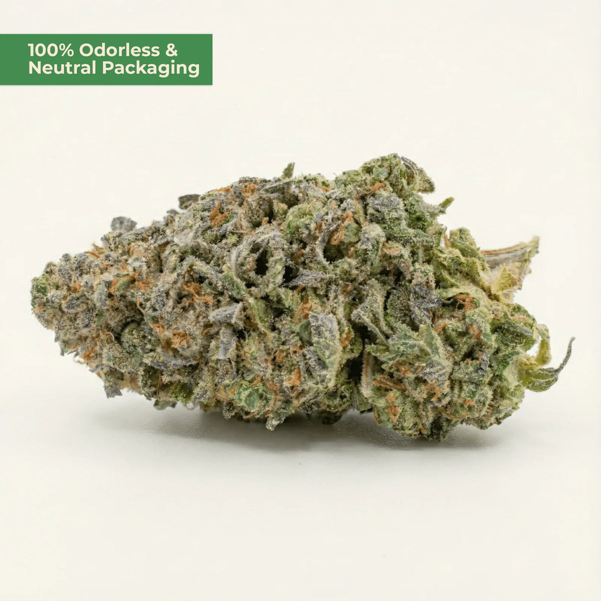 Blueberry Kush 9H-THC – fruchtiger Entry-Strain – MYGREEN