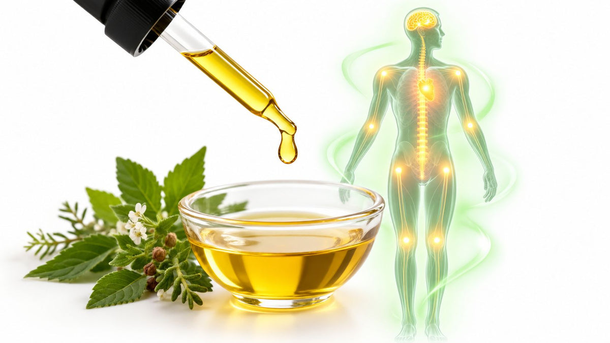 CBD Wirkung auf den Körper: Was wirklich passiert - MYGREEN