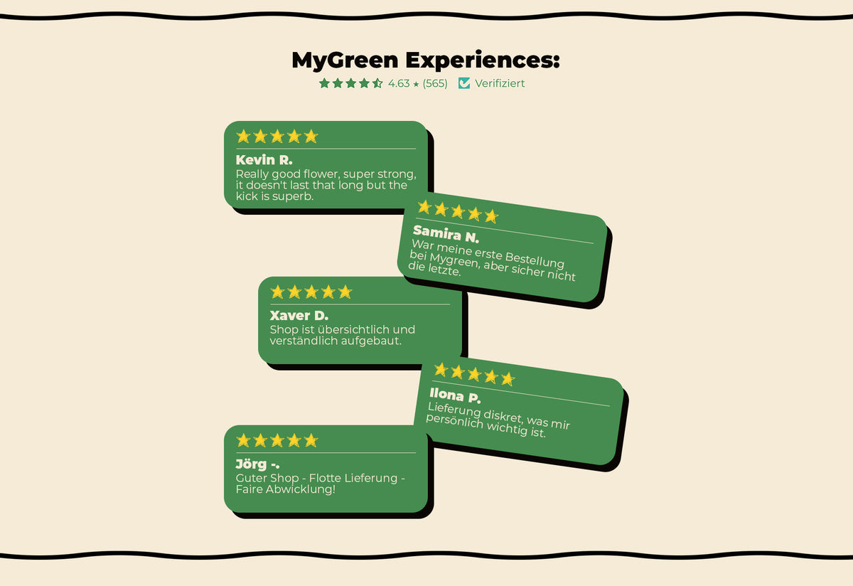 Email Review Sektion Desktop – MYGREEN