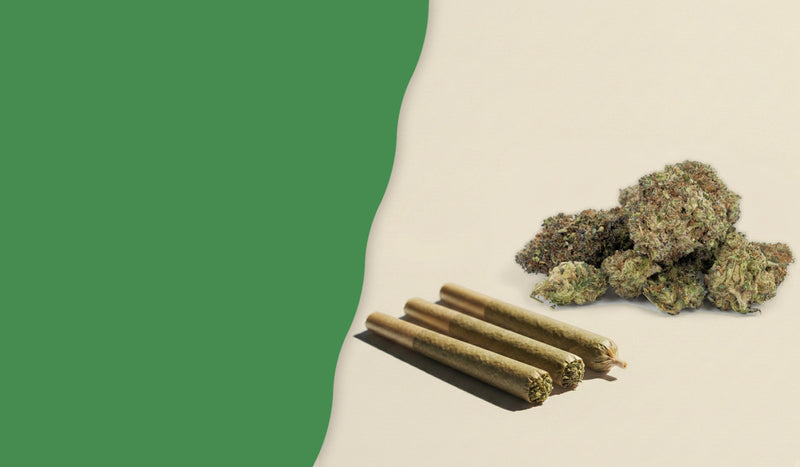 THC Blüten kaufen – Kategorie – MYGREEN