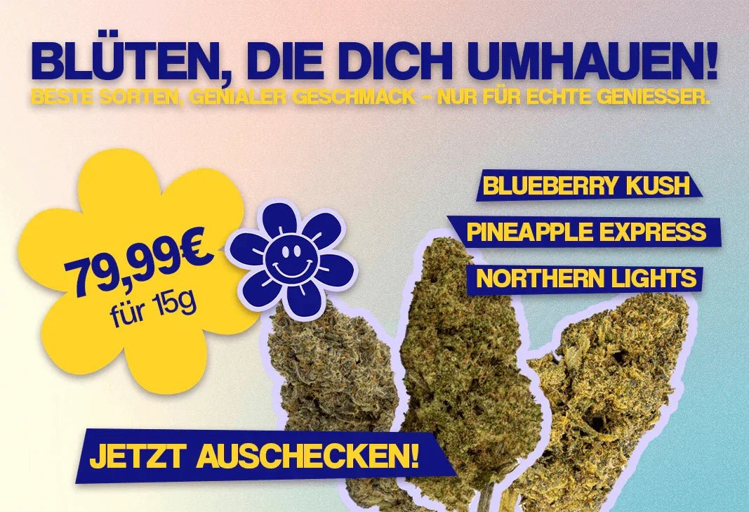 Cannabis Legends Bundle – 15g für nur 5€/g - MYGREEN