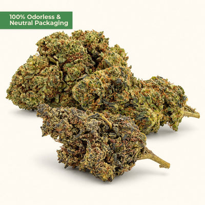 Holy Trinity PHC Starter Kit | 15g Blütenmix | MYGREEN - MYGREEN