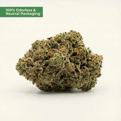 Super Silver Haze 9H-THC | Popcorn Buds | MYGREEN - MYGREEN